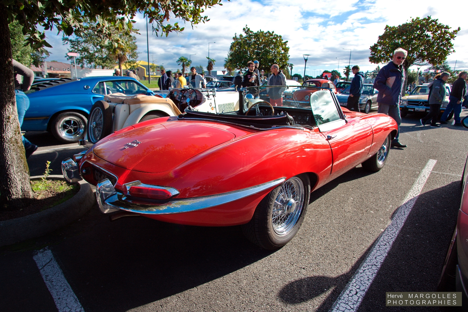 Jaguar Type E-01.jpg